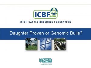 Daughter Proven or Genomic Bulls Daughter Proven or