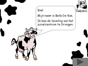 Bella de koe