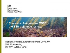 Economic Analysis for MSFD the ESA guidance review
