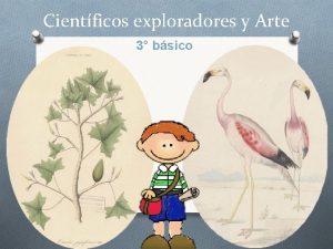 Cientficos exploradores y Arte 3 bsico Objetivos Crear