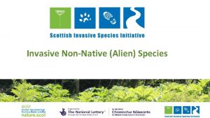 Invasive NonNative Alien Species What are Invasive NonNative