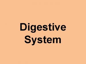 Digestive System Structure Abdominal Quadrants Abdominal Regions Mouth