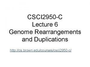 CSCI 2950 C Lecture 6 Genome Rearrangements and