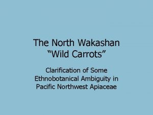 The North Wakashan Wild Carrots Clarification of Some