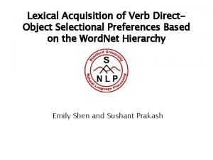 Lexical Acquisition of Verb Direct Object Selectional Preferences