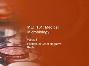 MLT 131 Medical Microbiology I Week 6 Fastidious