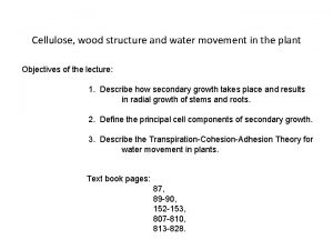 Cellulose wood structure and water movement in the