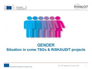 GENDER Situation in some TSOs RISKAUDIT projects This