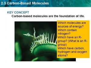 2 3 CarbonBased Molecules KEY CONCEPT Carbonbased molecules