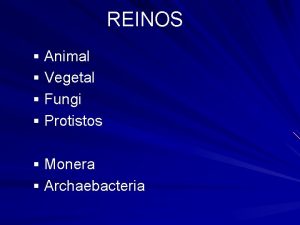 REINOS Animal Vegetal Fungi Protistos Monera Archaebacteria Reino
