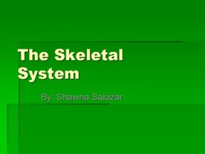 The Skeletal System By Shawna Salazar What is