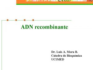 ADN recombinante Dr Luis A Mora B Ctedra