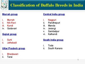 Classification of buffalo breeds