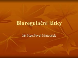Bioregulan ltky Ji Kec Pavel Matouek Fytohormony Auxin