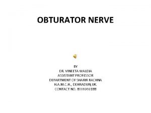 OBTURATOR NERVE BY DR VINEETA WALDIA ASSISTANT PROFESSOR