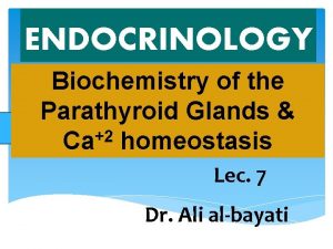 ENDOCRINOLOGY Biochemistry of the Parathyroid Glands 2 Ca