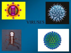 VIRUSES HISTORY The word virus from Greek ois