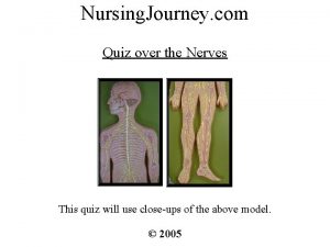 Nursing Journey com Quiz over the Nerves This