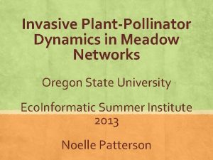 Invasive PlantPollinator Dynamics in Meadow Networks Oregon State