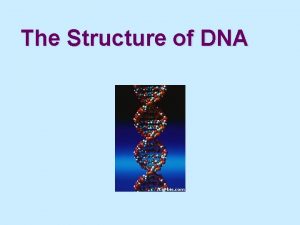 The Structure of DNA What is DNA DNA