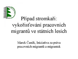 Ppad stromkai vykoisovn pracovnch migrant ve sttnch lesch