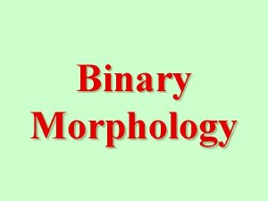 Binary Morphology Morphology Morphology generally concerned with shape