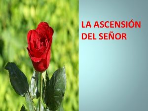 V DOMINGO DE PASCUA LA ASCENSIN DEL SEOR