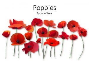 Poppies By Jane Weir Learning Objective To understand