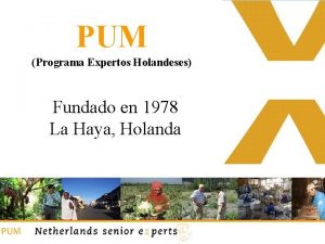 PUM Programa Expertos Holandeses Fundado en 1978 La