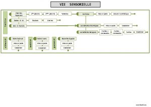 tactile VIE Planches rugueuses 1re planche 2me planche