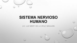 SISTEMA NERVIOSO HUMANO LIC LUZ MERY DE LA