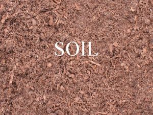 Soil is a mixture of weathered rock and ________.