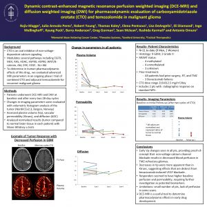 Dynamic contrastenhanced magnetic resonance perfusion weighted imaging DCEMRI