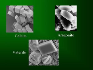 Calcite Vaterite Aragonite Solid Phases Calcite most common