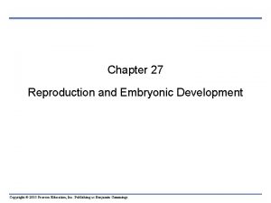 Chapter 27 Reproduction and Embryonic Development Copyright 2005