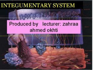 INTEGUMENTARY SYSTEM Produced by lecturer zahraa ahmed okhti