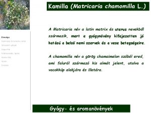 Kamilla Matricaria chamomilla L A Matricaria nv a