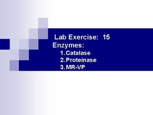 Lab Exercise 15 Enzymes 1 Catalase 2 Proteinase