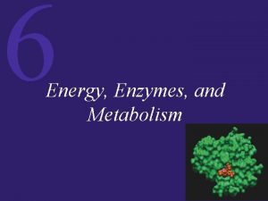 6 Energy Enzymes and Metabolism 6 Energy Enzymes