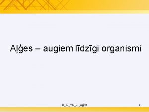 Aes augiem ldzgi organismi B07VM01Aes 1 Aes aug