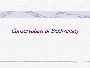 Conservation of Biodiversity Conservation of Biodiversity International Organizations