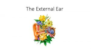 The External Ear General Compartments External Middle Inner