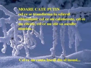 Moare cate putin