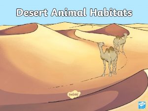 Animal habitats desert