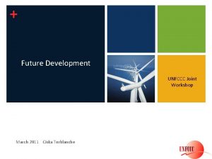 Future Development UNFCCC Joint Workshop March 2011 Ciska