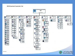 MSEM Department Organization Chart CORPORATE HEALTH SAFETY ENVIRONMENT