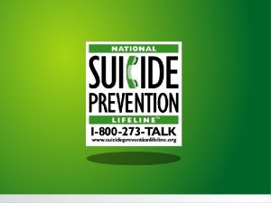 Amanda Lehner Online Communications Manager National Suicide Prevention