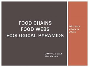 FOOD CHAINS FOOD WEBS ECOLOGICAL PYRAMIDS October 22