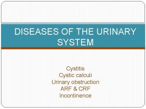 DISEASES OF THE URINARY SYSTEM Cystitis Cystic calculi