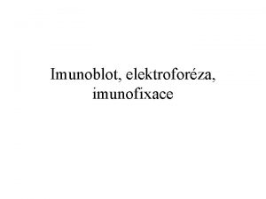 Imunoblot elektroforza imunofixace Imunoblot pozitivn protiltky proti Ag